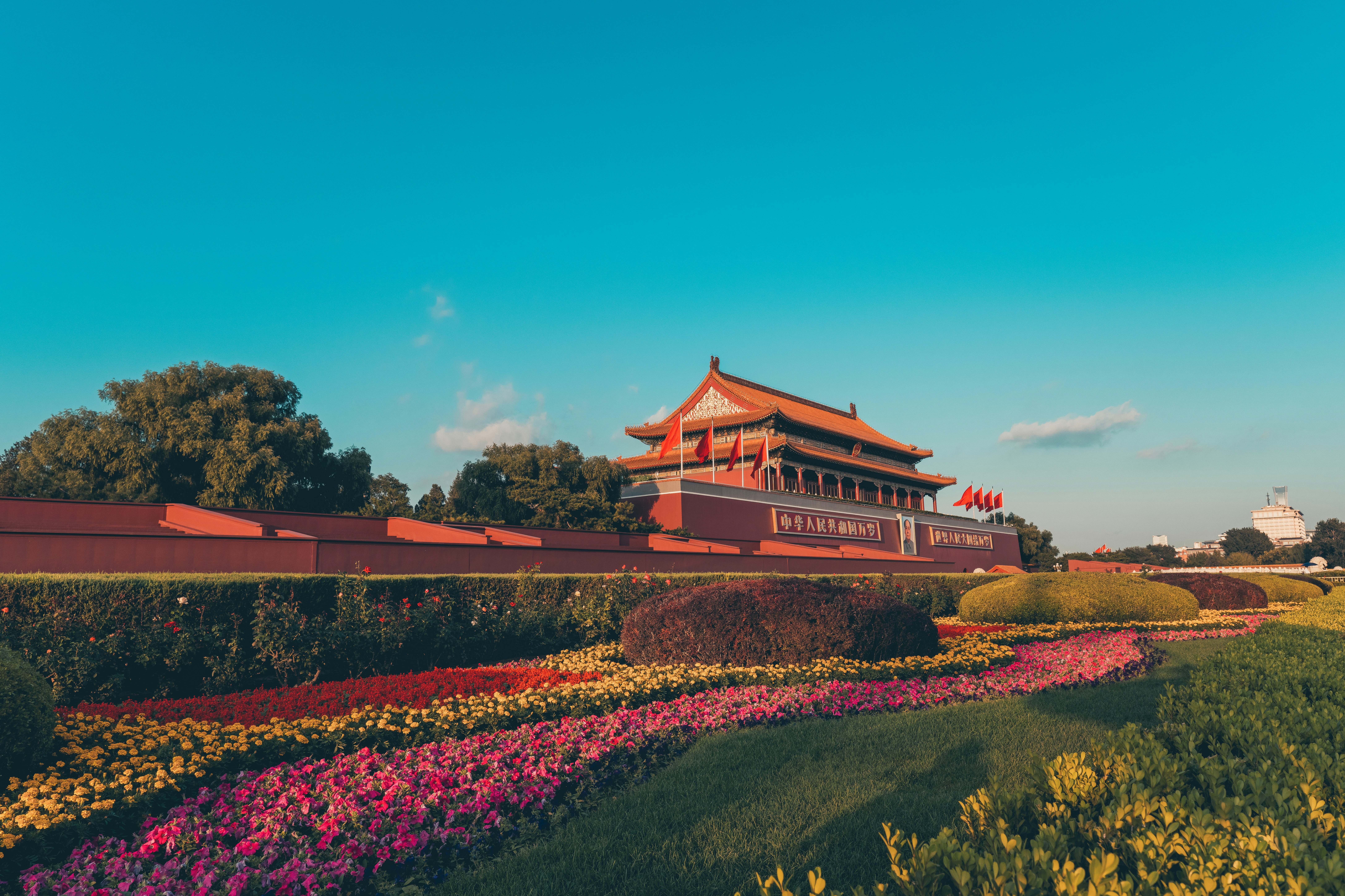 Beijing Forbidden City and skyline